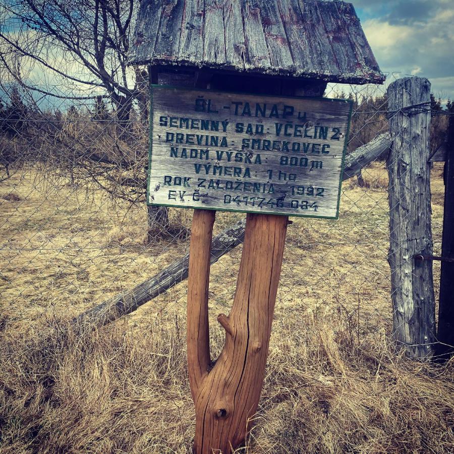 Penzion Bado Stará Lesná Zewnętrze zdjęcie