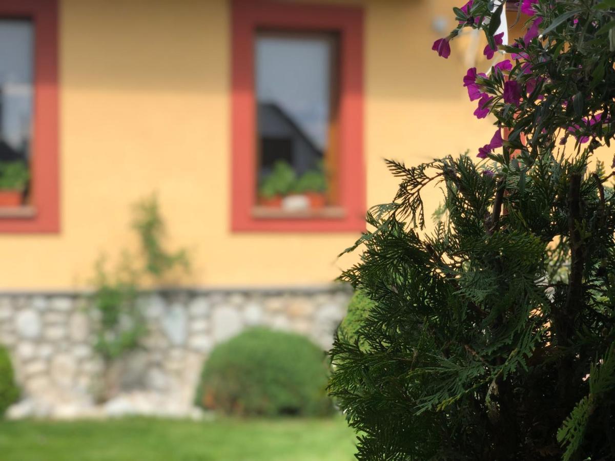 Penzion Bado Stará Lesná Zewnętrze zdjęcie